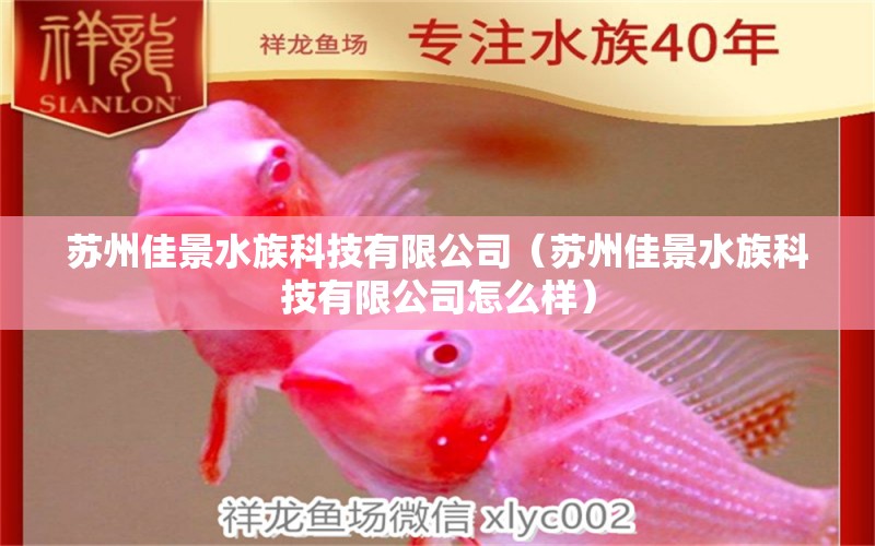 苏州佳景水族科技有限公司（苏州佳景水族科技有限公司怎么样） 全国水族馆企业名录