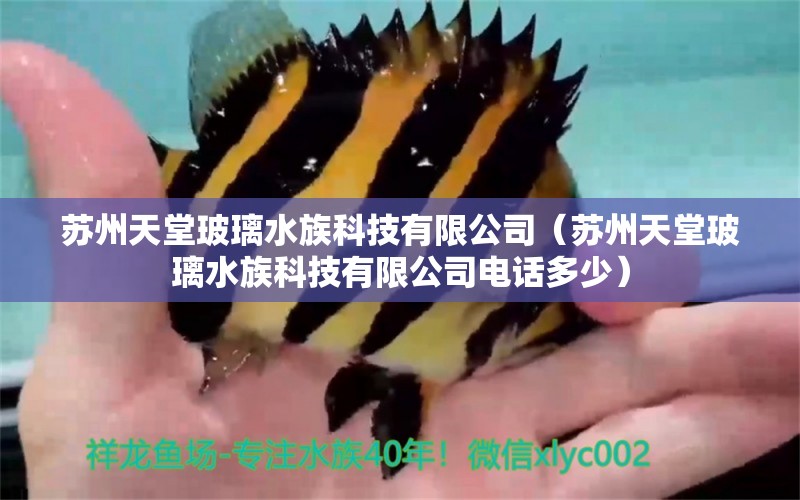 苏州天堂玻璃水族科技有限公司（苏州天堂玻璃水族科技有限公司电话多少）