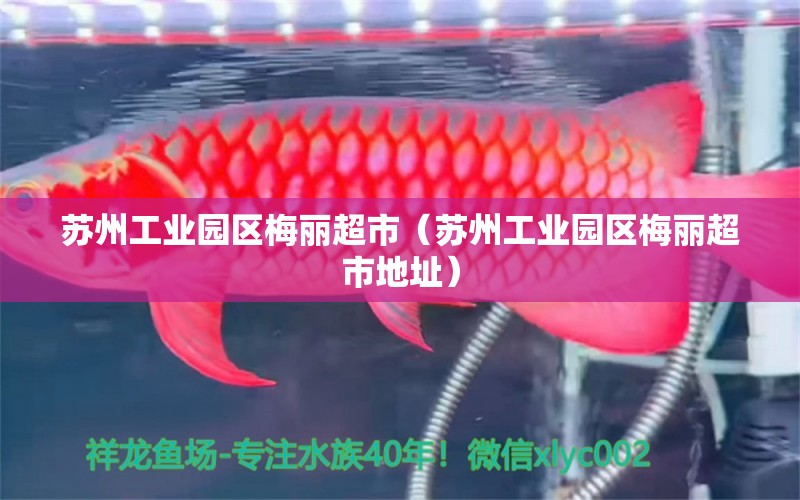 苏州工业园区梅丽超市（苏州工业园区梅丽超市地址） 全国水族馆企业名录