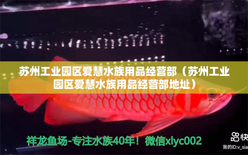 苏州工业园区爱慧水族用品经营部（苏州工业园区爱慧水族用品经营部地址）