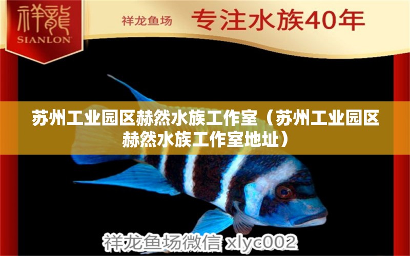 苏州工业园区赫然水族工作室（苏州工业园区赫然水族工作室地址） 全国水族馆企业名录