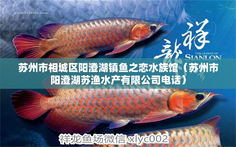 苏州市相城区阳澄湖镇鱼之恋水族馆（苏州市阳澄湖苏渔水产有限公司电话）