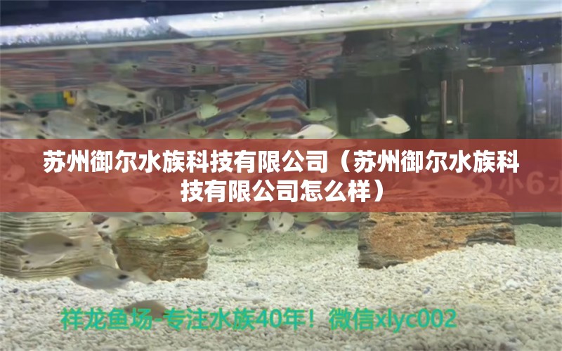 苏州御尔水族科技有限公司（苏州御尔水族科技有限公司怎么样）