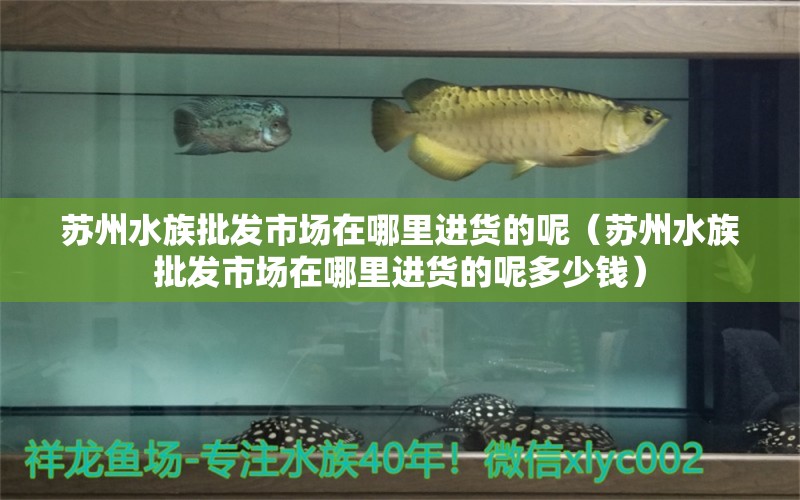 苏州水族批发市场在哪里进货的呢（苏州水族批发市场在哪里进货的呢多少钱） 观赏鱼水族批发市场