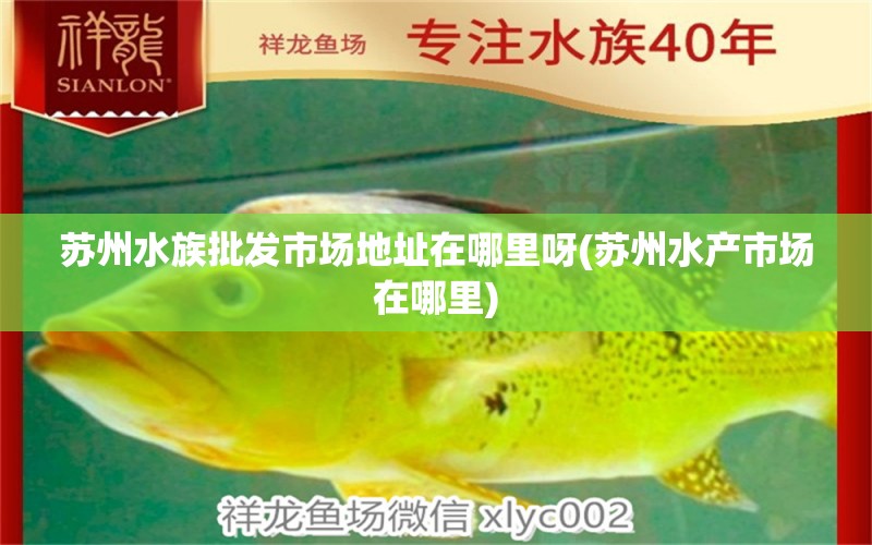 苏州水族批发市场地址在哪里呀(苏州水产市场在哪里) 观赏鱼水族批发市场