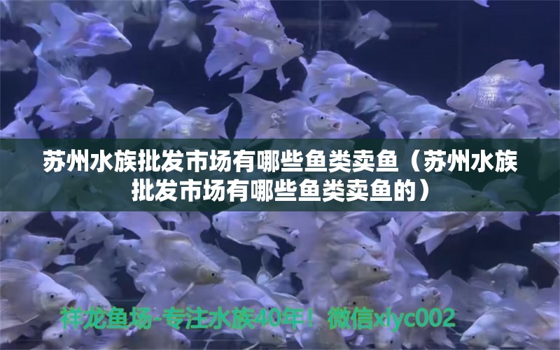 苏州水族批发市场有哪些鱼类卖鱼（苏州水族批发市场有哪些鱼类卖鱼的）