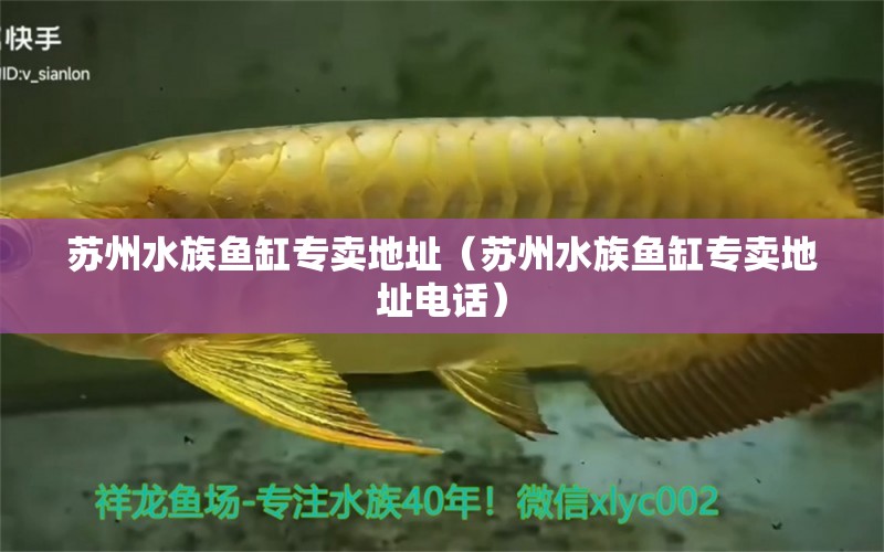 苏州水族鱼缸专卖地址（苏州水族鱼缸专卖地址电话） 其他品牌鱼缸