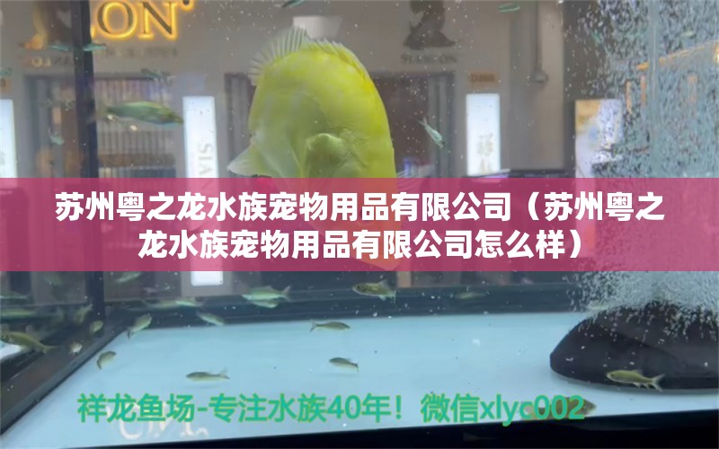 苏州粤之龙水族宠物用品有限公司（苏州粤之龙水族宠物用品有限公司怎么样）