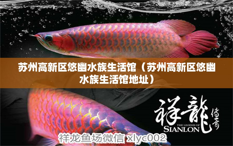 苏州高新区悠幽水族生活馆（苏州高新区悠幽水族生活馆地址） 全国水族馆企业名录