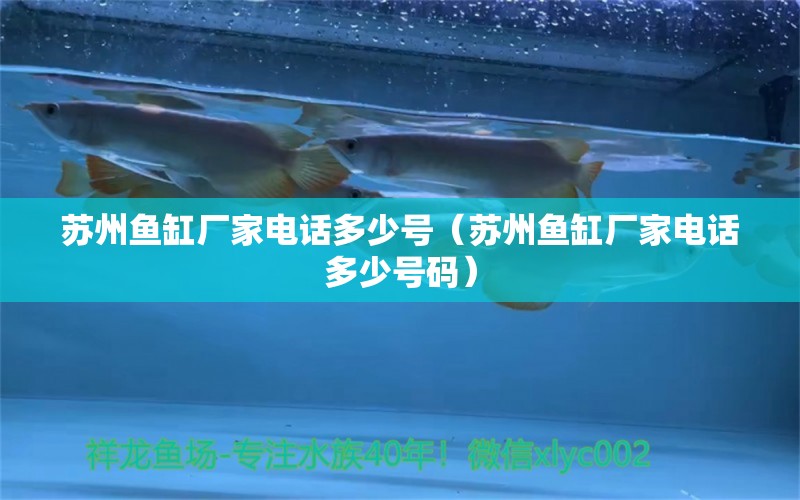 苏州鱼缸厂家电话多少号（苏州鱼缸厂家电话多少号码） 广州水族器材滤材批发市场