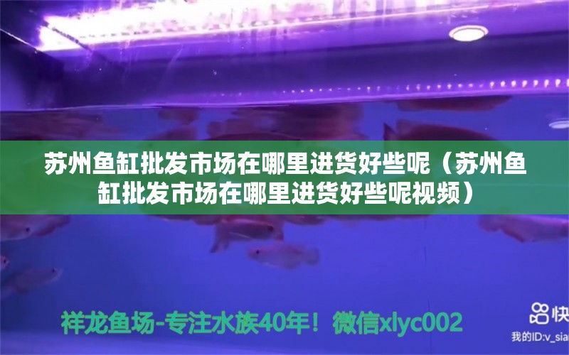 苏州鱼缸批发市场在哪里进货好些呢（苏州鱼缸批发市场在哪里进货好些呢视频）