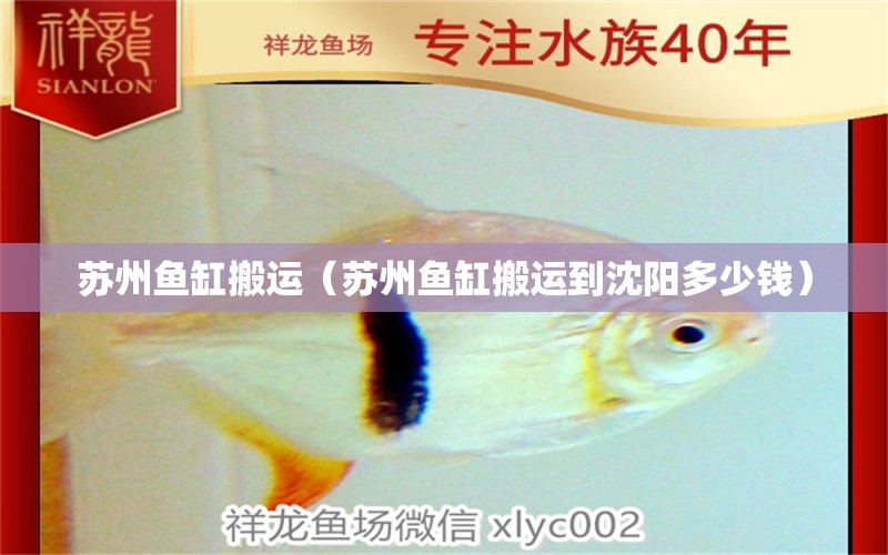 苏州鱼缸搬运（苏州鱼缸搬运到沈阳多少钱） 其他品牌鱼缸