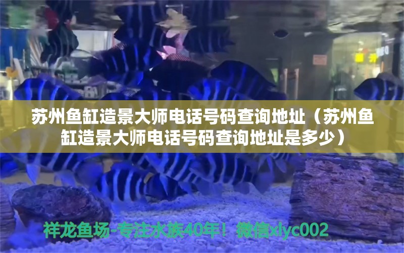 苏州鱼缸造景大师电话号码查询地址（苏州鱼缸造景大师电话号码查询地址是多少）