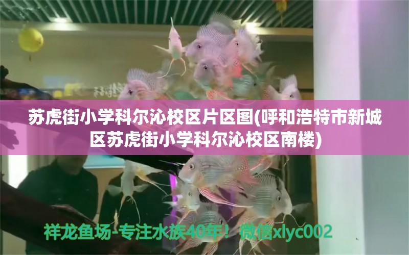 苏虎街小学科尔沁校区片区图(呼和浩特市新城区苏虎街小学科尔沁校区南楼)