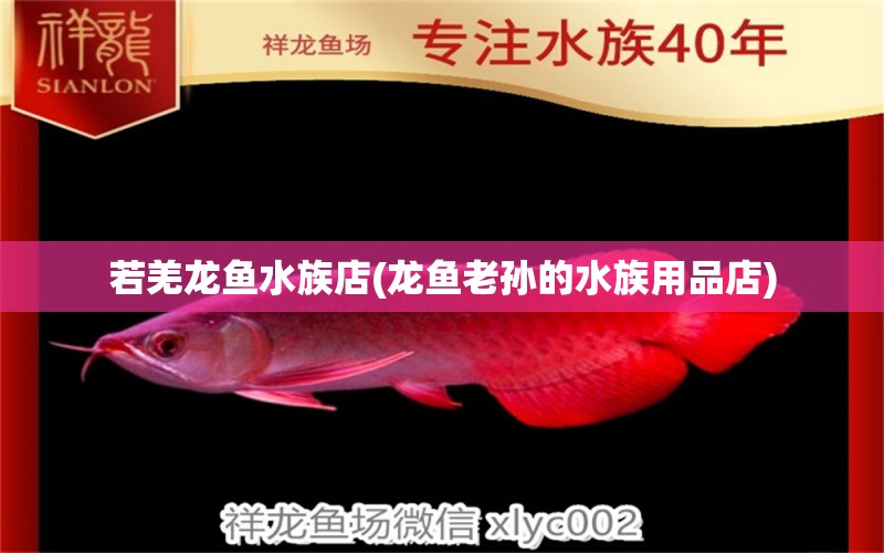 若羌龙鱼水族店(龙鱼老孙的水族用品店)