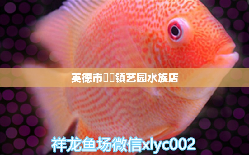 英德市浛洸镇艺园水族店 全国水族馆企业名录