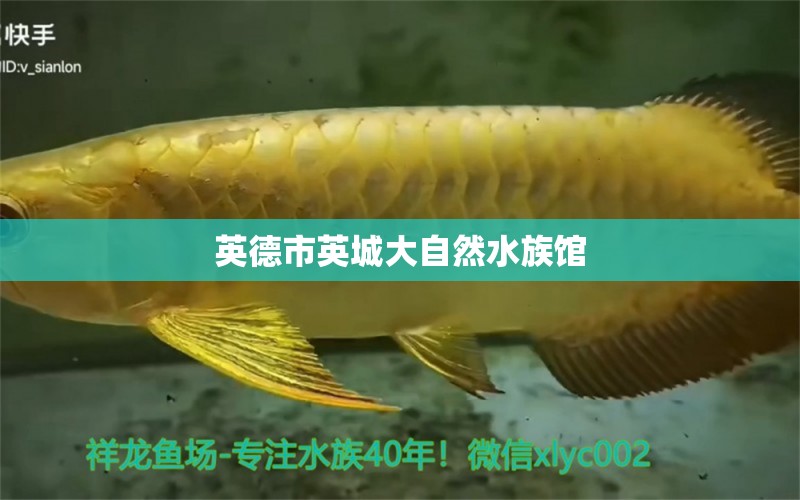 英德市英城大自然水族馆