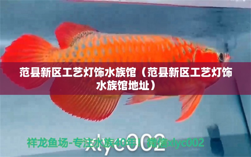 范县新区工艺灯饰水族馆（范县新区工艺灯饰水族馆地址） 全国水族馆企业名录