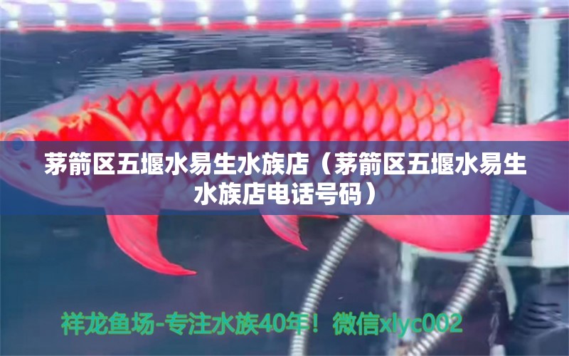 茅箭区五堰水易生水族店（茅箭区五堰水易生水族店电话号码）