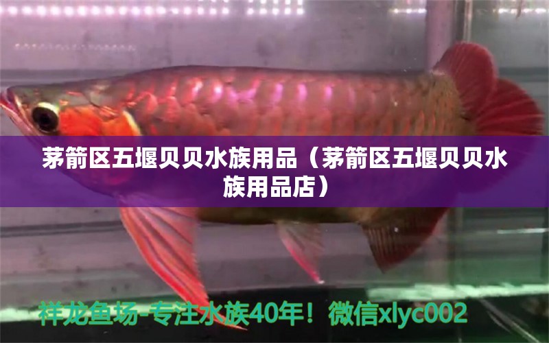 茅箭区五堰贝贝水族用品（茅箭区五堰贝贝水族用品店）