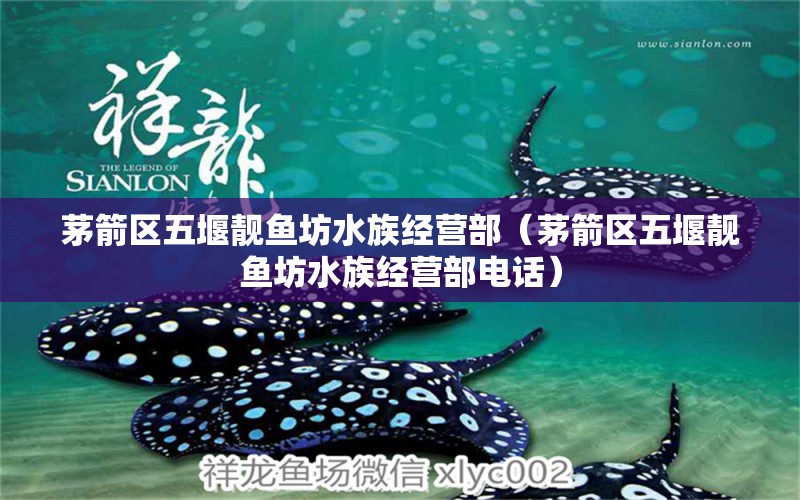 茅箭区五堰靓鱼坊水族经营部（茅箭区五堰靓鱼坊水族经营部电话）