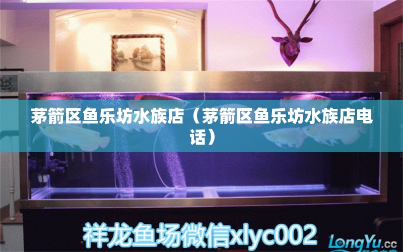 茅箭区鱼乐坊水族店（茅箭区鱼乐坊水族店电话）