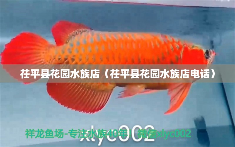 茌平县花园水族店（茌平县花园水族店电话）