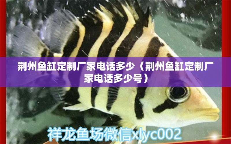 荆州鱼缸定制厂家电话多少（荆州鱼缸定制厂家电话多少号） 祥龙水族医院