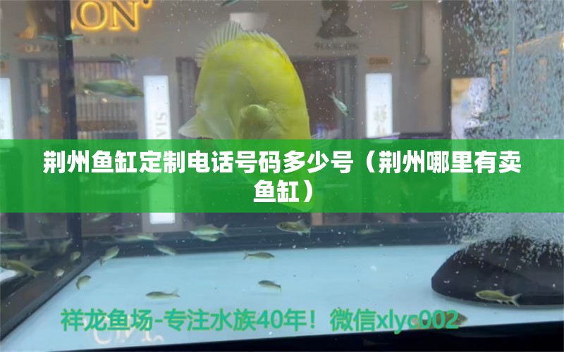 荆州鱼缸定制电话号码多少号（荆州哪里有卖鱼缸） 祥龙水族医院