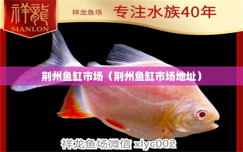 荆州鱼缸市场（荆州鱼缸市场地址） 其他品牌鱼缸