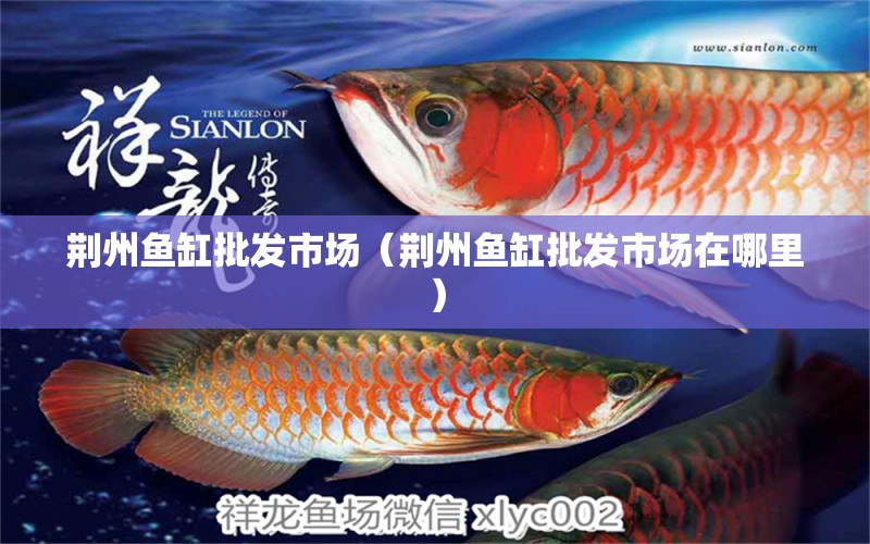 荆州鱼缸批发市场（荆州鱼缸批发市场在哪里） 观赏鱼水族批发市场