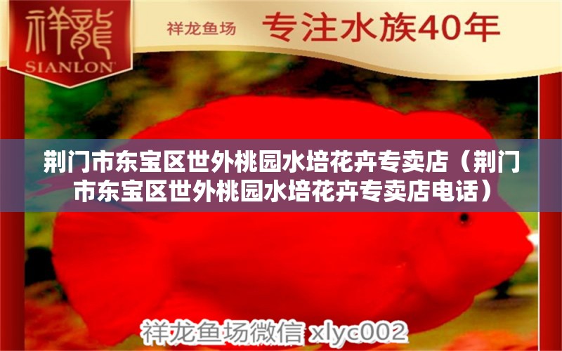 荆门市东宝区世外桃园水培花卉专卖店（荆门市东宝区世外桃园水培花卉专卖店电话）