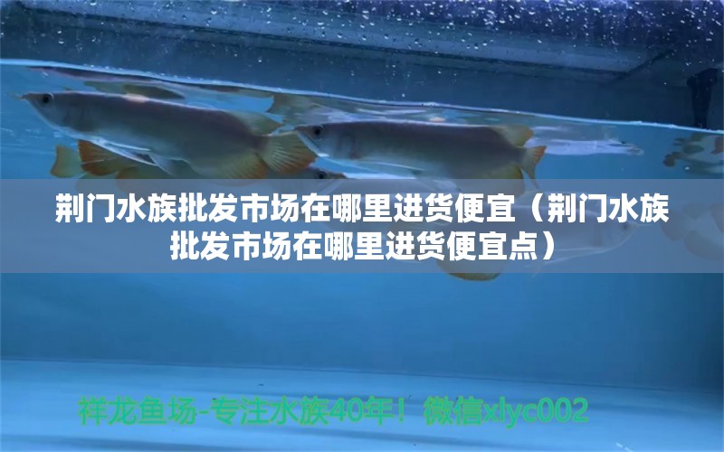 荆门水族批发市场在哪里进货便宜（荆门水族批发市场在哪里进货便宜点）