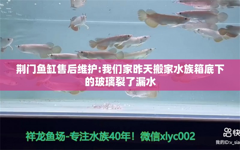 荆门鱼缸售后维护:我们家昨天搬家水族箱底下的玻璃裂了漏水