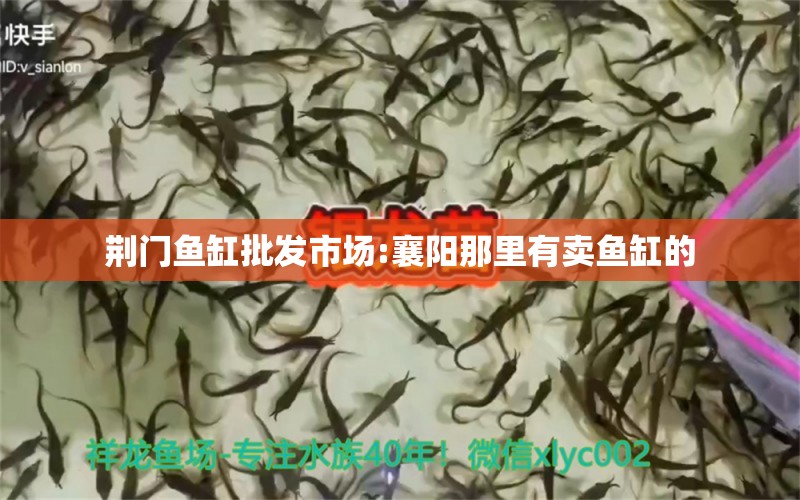 荆门鱼缸批发市场:襄阳那里有卖鱼缸的