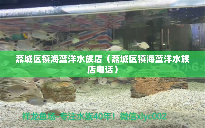 荔城区镇海蓝洋水族店（荔城区镇海蓝洋水族店电话）