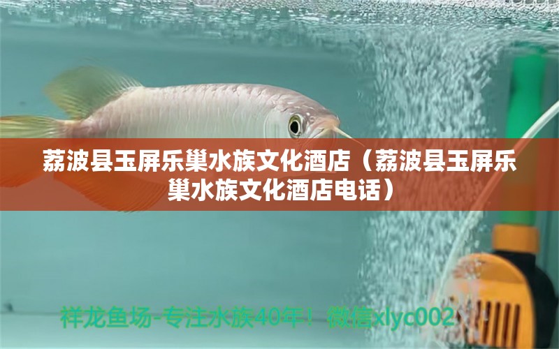 荔波县玉屏乐巢水族文化酒店（荔波县玉屏乐巢水族文化酒店电话）