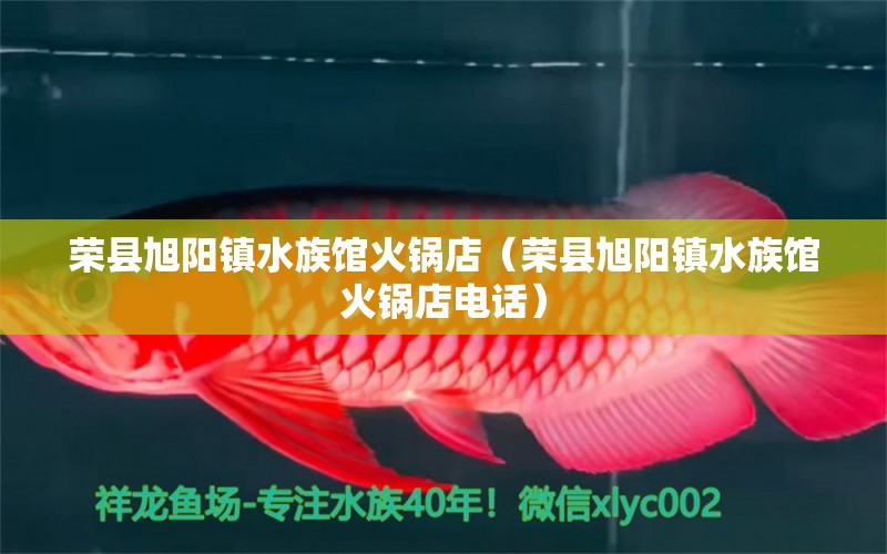 荣县旭阳镇水族馆火锅店（荣县旭阳镇水族馆火锅店电话）