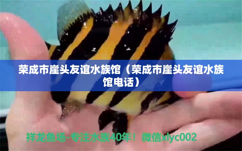 荣成市崖头友谊水族馆（荣成市崖头友谊水族馆电话）