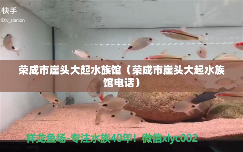 荣成市崖头大起水族馆（荣成市崖头大起水族馆电话）