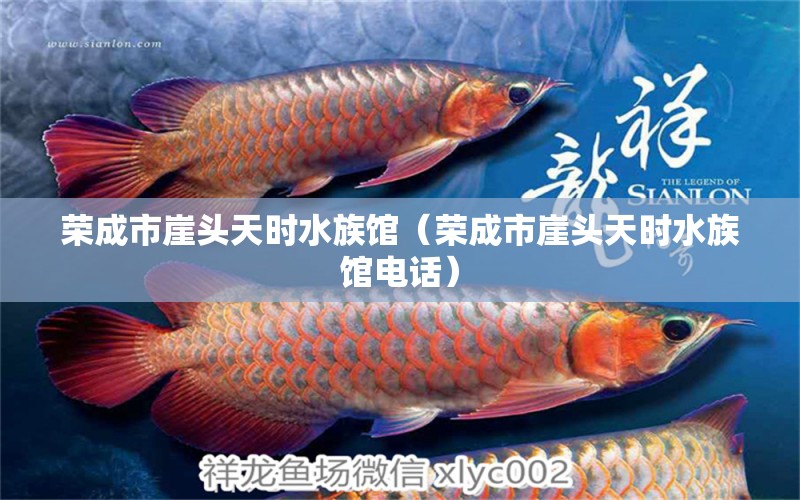 荣成市崖头天时水族馆（荣成市崖头天时水族馆电话） 全国水族馆企业名录