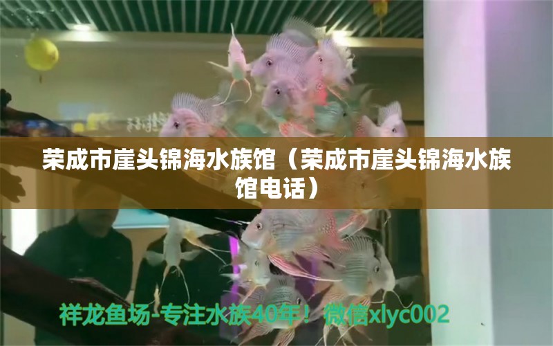 荣成市崖头锦海水族馆（荣成市崖头锦海水族馆电话） 全国水族馆企业名录