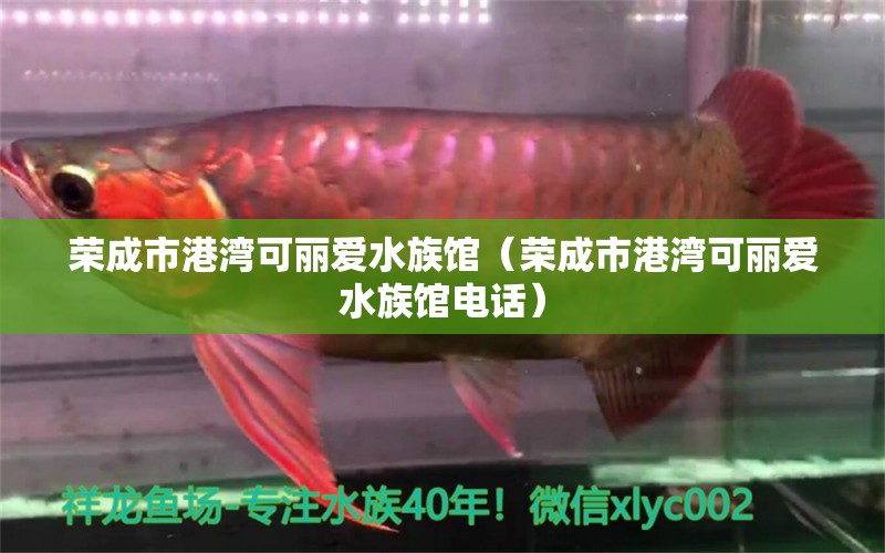 荣成市港湾可丽爱水族馆（荣成市港湾可丽爱水族馆电话） 全国水族馆企业名录