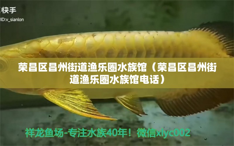 荣昌区昌州街道渔乐圈水族馆（荣昌区昌州街道渔乐圈水族馆电话）