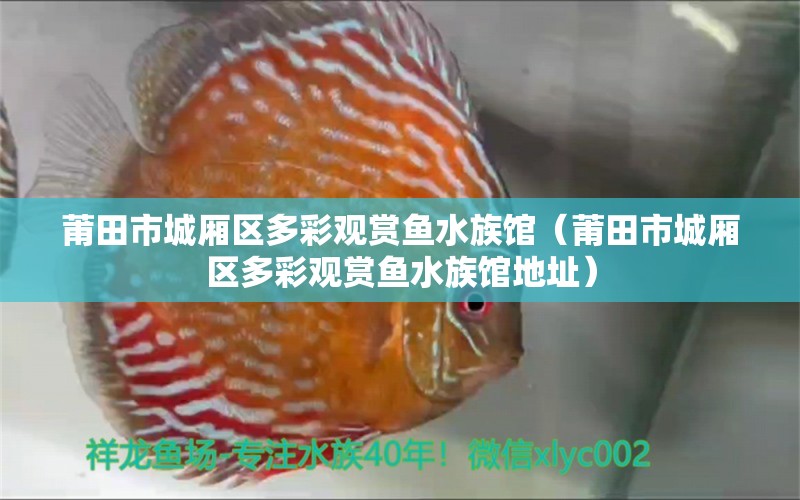 莆田市城厢区多彩观赏鱼水族馆（莆田市城厢区多彩观赏鱼水族馆地址）