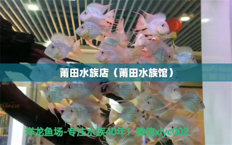 莆田水族店（莆田水族馆）