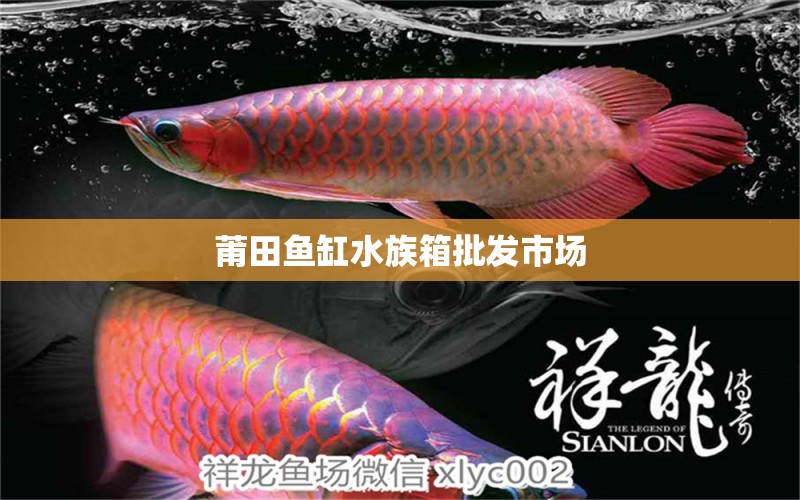 莆田鱼缸水族箱批发市场