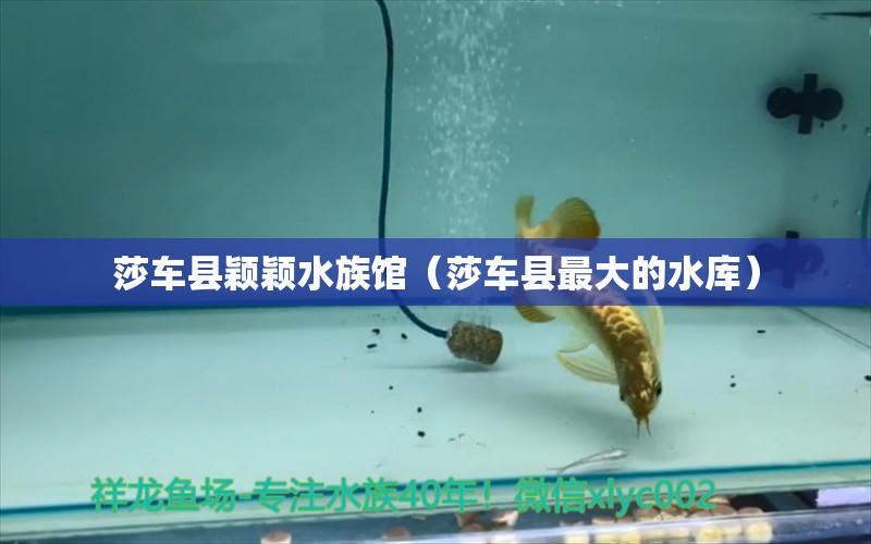 莎车县颖颖水族馆（莎车县最大的水库） 全国水族馆企业名录