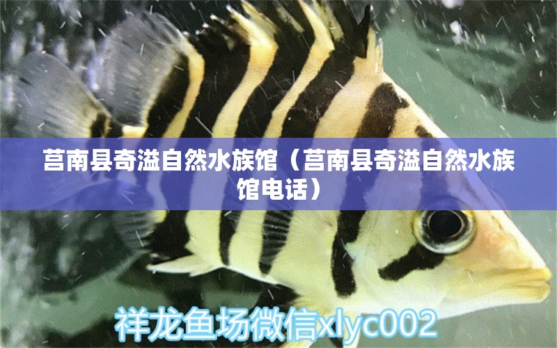 莒南县奇溢自然水族馆（莒南县奇溢自然水族馆电话）