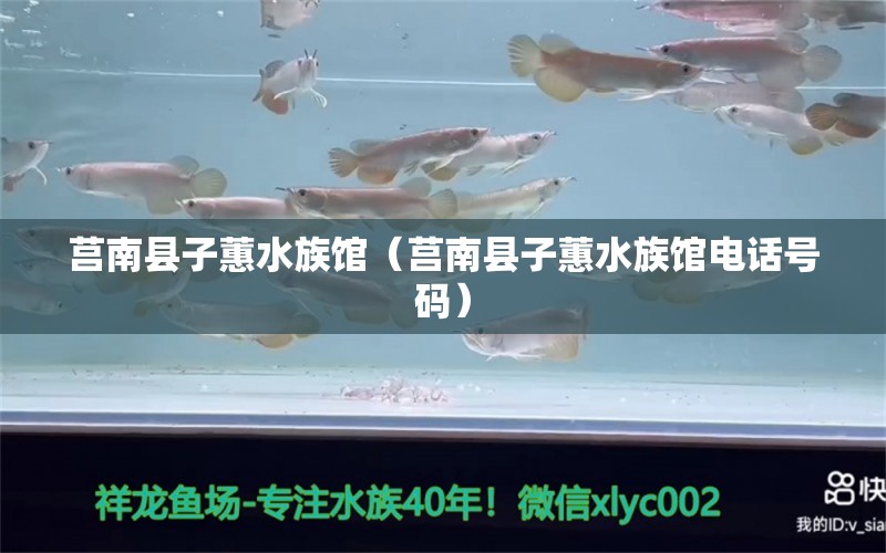 莒南县子蕙水族馆（莒南县子蕙水族馆电话号码）